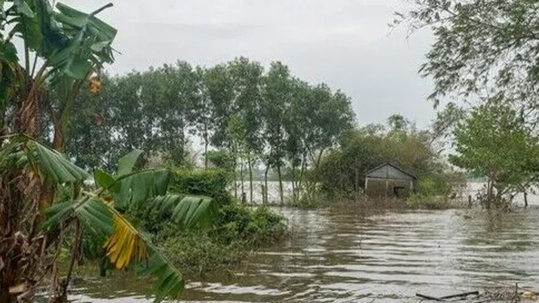 ভিয়েতনামে আকস্মিক বন্যায় নিহত ৪, নিখোঁজ ৪