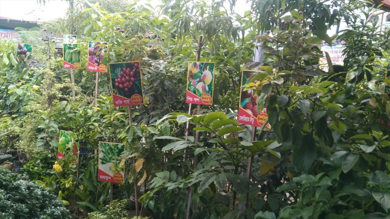 খুলনায় মাসব্যাপী বৃক্ষমেলায় দেশি-বিদেশি চারার সমারোহ, চলবে ১