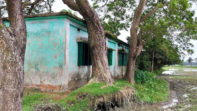 তিন মাসেও সরেনি বিদ্যালয় ভবনে উপড়ে পড়া গাছ, ঝুঁকিতে পাঠদা