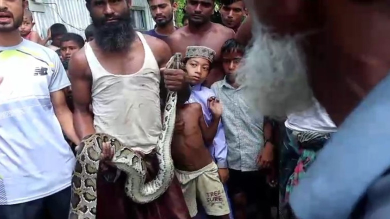 কুড়িগ্রামের চরে ১০ ফুটের অজগর, রংপুর চিড়িয়াখানায় পাঠানো হবে